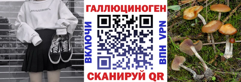 Галлюциногенные грибы прущие грибы  Шимановск 